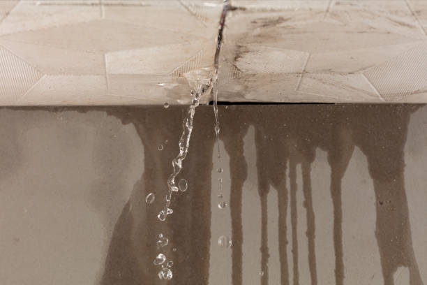Professional Burst Pipe Cleanup technician working in Bradford, ME